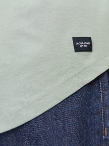 Jack & Jones Gładka Okrągły dekolt T-shirt -Iceberg Green - 12113648