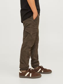 Jack & Jones „Cargo“ stiliaus kelnės For boys -Wren - 12151646