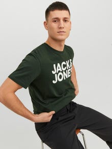 Jack & Jones Logo Pyöreä pääntie T-paita -Mountain View - 12151955