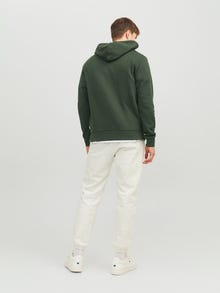 Jack & Jones Logotipas Džemperis -Mountain View - 12152840