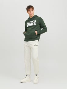 Jack & Jones Logotipas Džemperis -Mountain View - 12152840