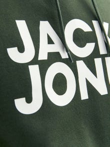Jack & Jones Felpa con cappuccio Con logo -Mountain View - 12152840