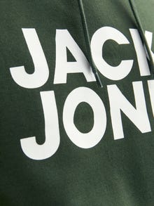 Jack & Jones Logotipas Džemperis -Mountain View - 12152840
