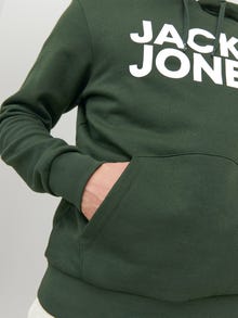 Jack & Jones Logotipas Džemperis -Mountain View - 12152840