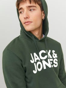 Jack & Jones Sweat à capuche Logo -Mountain View - 12152840