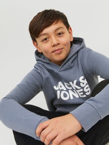 Jack & Jones Logo Hoodie For boys -Flint Stone - 12152841