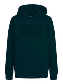 Jack & Jones Logo Kapuzenpullover Für jungs -Deep Teal - 12152841