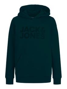 Jack & Jones Logotyp Huvtröje För pojkar -Deep Teal - 12152841