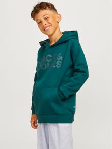 Jack & Jones Logotipas Džemperis Jaunimui -Deep Teal - 12152841