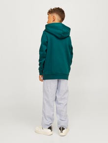 Jack & Jones Logotipas Džemperis Jaunimui -Deep Teal - 12152841