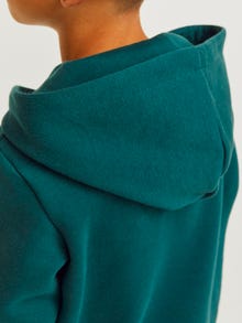 Jack & Jones Logotipas Džemperis Jaunimui -Deep Teal - 12152841