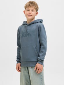 Jack & Jones Logotyp Hoodie Junior -Stormy Weather - 12152841