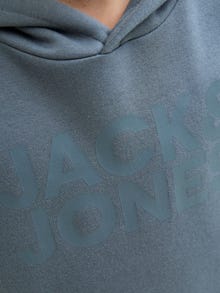 Jack & Jones Logo Hoodie Junior -Stormy Weather - 12152841