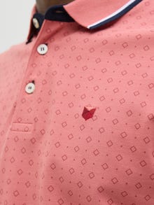 Jack & Jones Adoptez le look - 2111204225