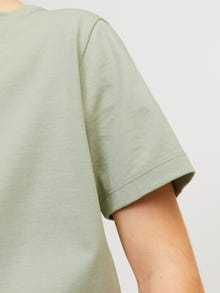 Jack & Jones Vienspalvis Marškinėliai For boys -Desert Sage - 12158433