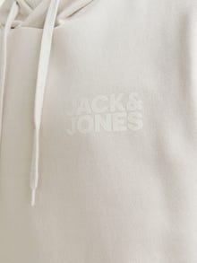 Jack & Jones Plus Sweat à capuche -Moonbeam - 12163777