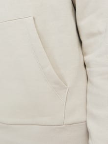 Jack & Jones Plus Sweat à capuche -Moonbeam - 12163777