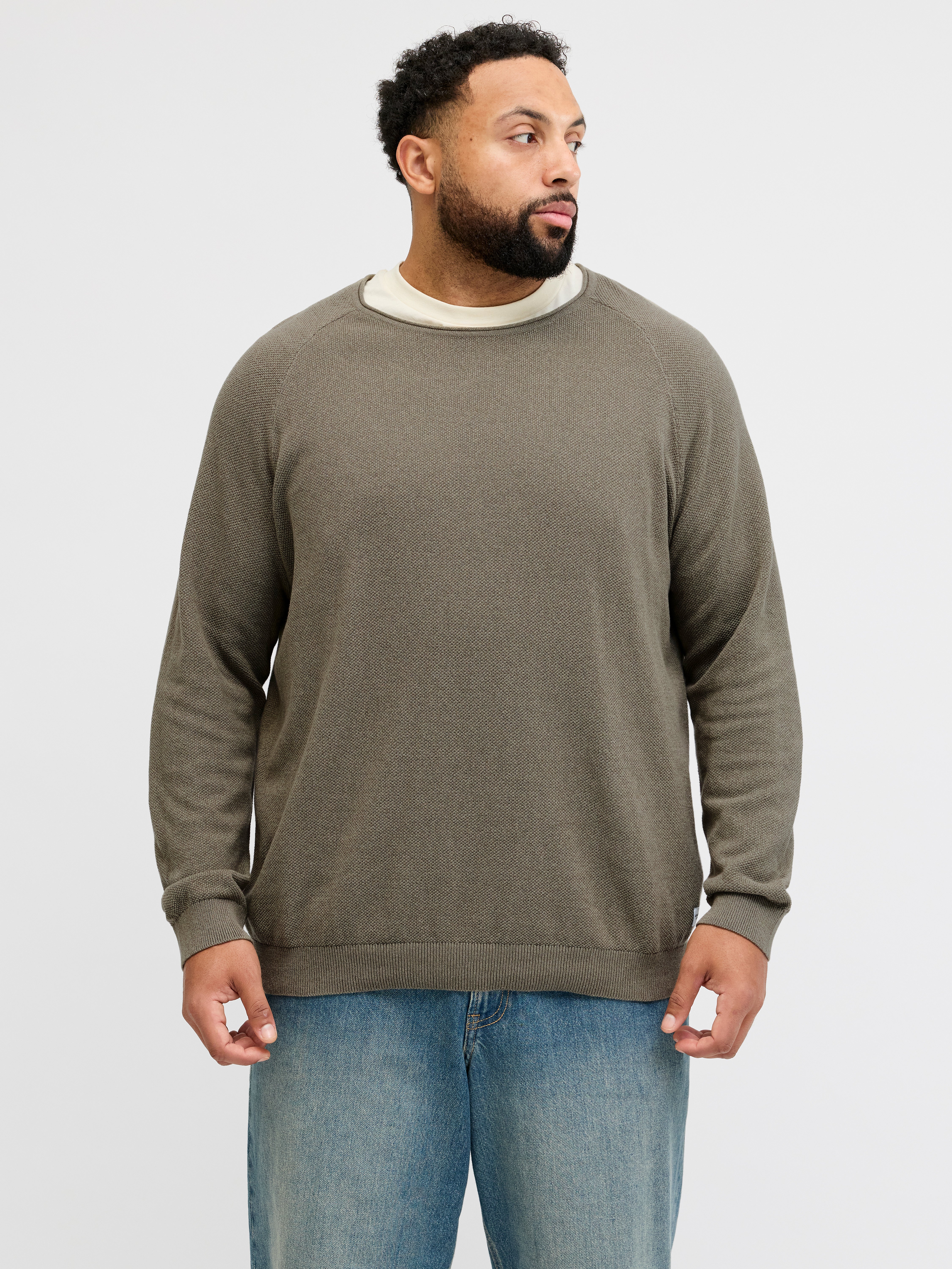 Plus Size Strickpullover