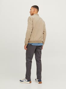 Jack & Jones Bomber striukė -Crockery - 12165203