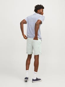 Jack & Jones Regular Fit Regular rise Chino shorts -Desert Sage - 12165604