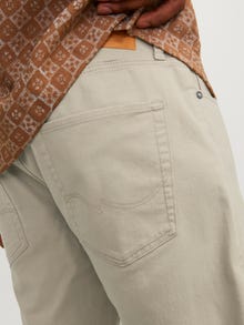 Jack & Jones Klasikinis kirpimas Šortai -Crockery - 12165892