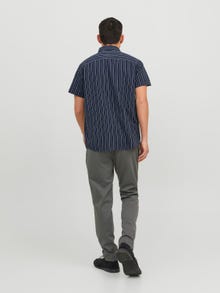 Jack & Jones Slim Fit Chino kelnės -Sedona Sage - 12173623