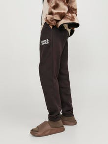 Jack & Jones Regular Fit Spodnie dresowe -Seal Brown - 12178421