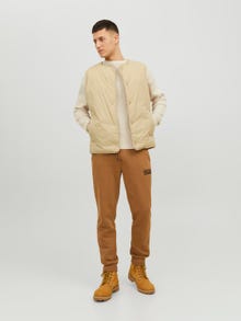 Jack & Jones Regular Fit Tepláky -Otter - 12178421