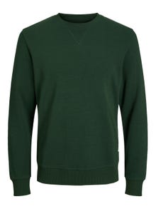 Jack & Jones Einfarbig Sweatshirt mit Rundhals -Mountain View - 12181903