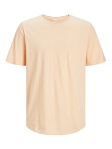 Jack & Jones Enfärgat Rundringning T-shirt -Apricot Ice  - 12182498