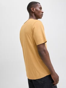 Jack & Jones Enfärgat T-shirt -Curry - 12182498
