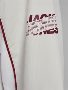 Jack & Jones Let jakke -Silver Birch - 12184713