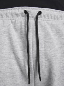 Jack & Jones Regular Fit Higistamise lühikesed püksid -Light Grey Melange - 12186750