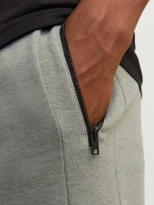 Jack & Jones Regular Fit Sweatstof shorts -Desert Sage - 12186750