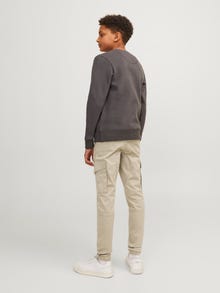 Jack & Jones Cargo kelnės Jaunimui -Crockery - 12193900