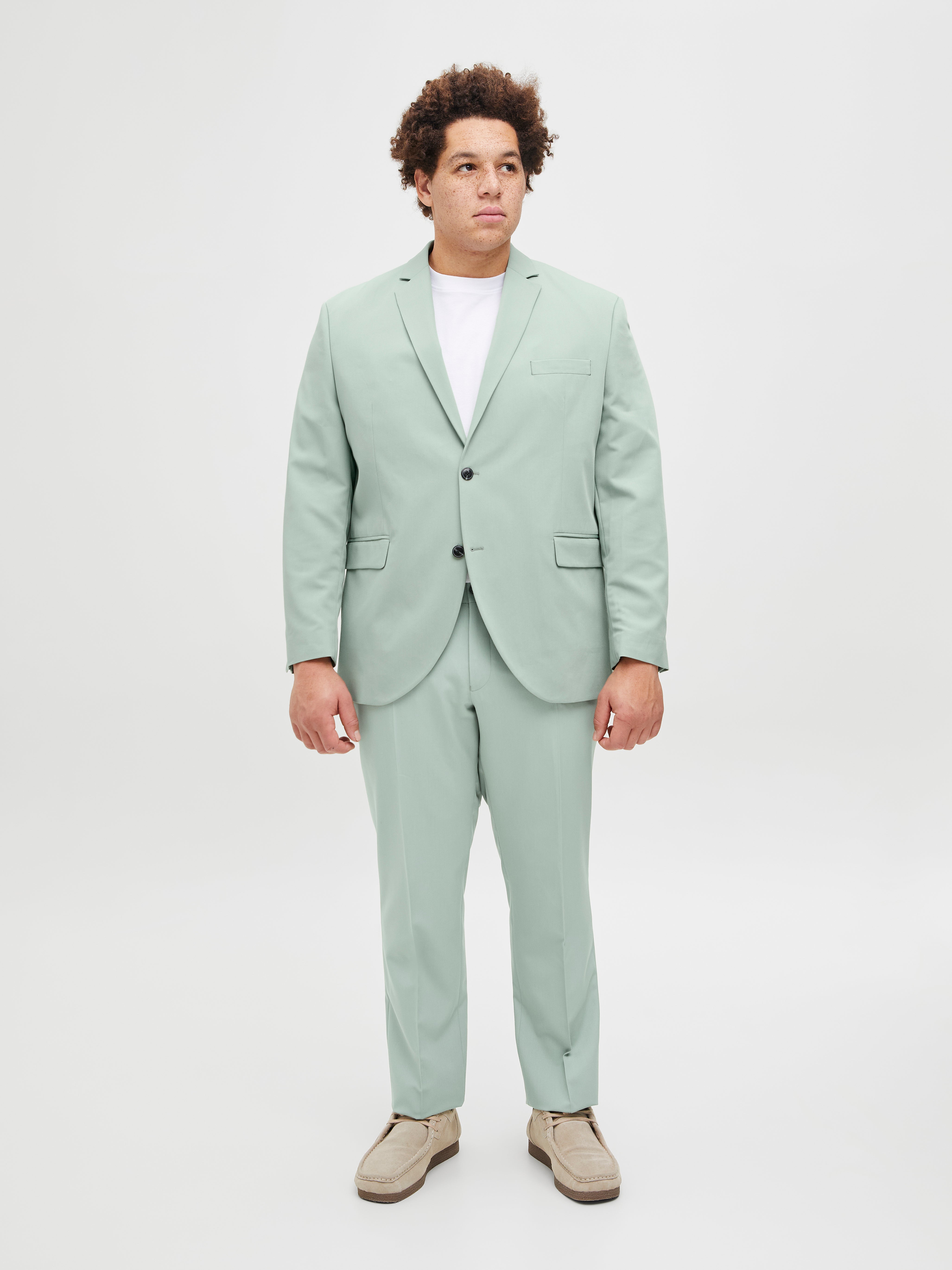 Plus Size Regular Fit Anzug