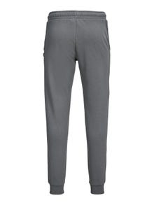 Jack & Jones Regular Fit Joggingbroek -Sedona Sage - 12195726