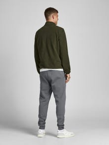 Jack & Jones Regular Fit Prakaituojančios kelnės -Sedona Sage - 12195726