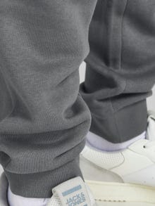 Jack & Jones Pantalones de chándal Regular Fit -Sedona Sage - 12195726