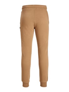 Jack & Jones Regular Fit Spodnie dresowe -Otter - 12195726
