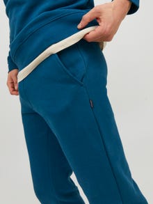 Jack & Jones Regular Fit Prakaituojančios kelnės -Sailor blue - 12195726