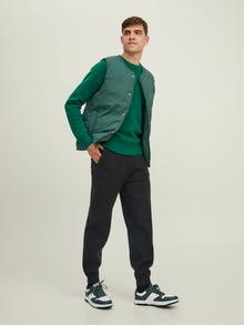 Jack & Jones Relaxed Fit Higistamispüksid -Black - 12197570