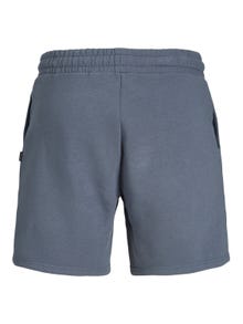 Jack & Jones Regular Fit Sweatstof shorts -Grasaille - 12201880