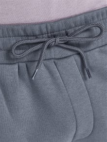 Jack & Jones Regular Fit Sweat-Shorts -Grasaille - 12201880