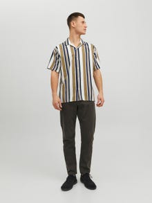 Jack & Jones Regular Fit Vabaaja särk -Celadon Green - 12202240