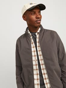 Jack & Jones Bomber jas -Mulch - 12204277