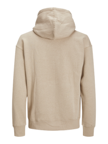 Jack & Jones Hoodie Liso -Crockery - 12208157