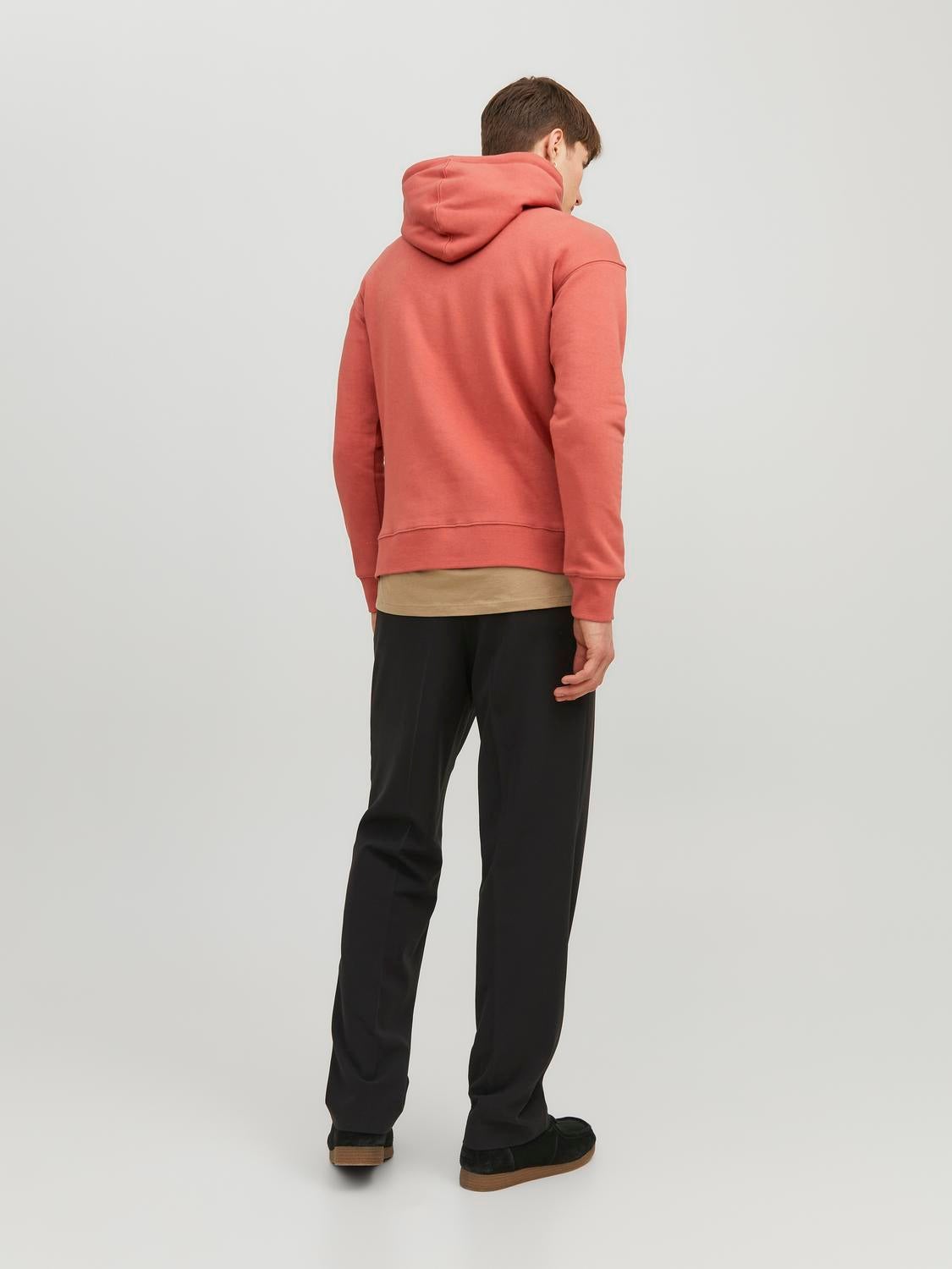 Plain hotsell red hoodie