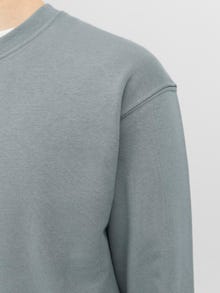 Jack & Jones Plain Crew neck Sweatshirt -Sedona Sage - 12208182