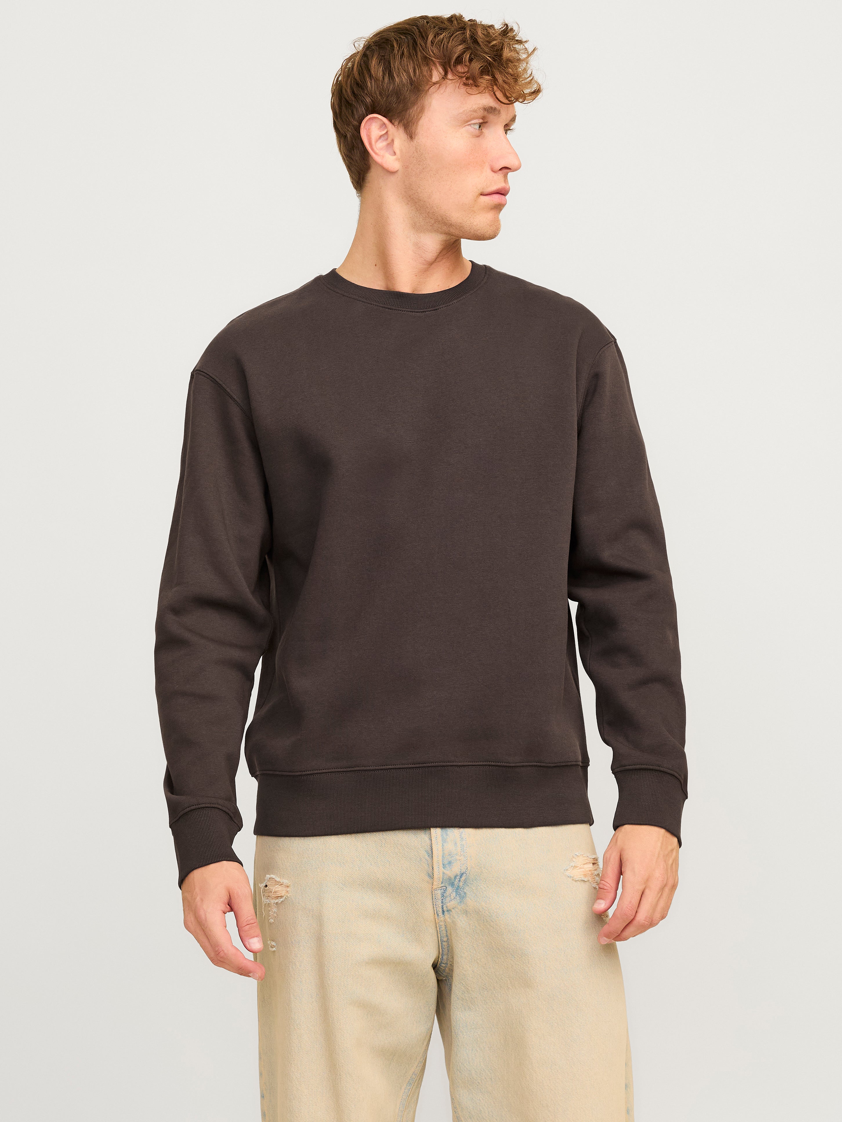 Einfarbig Sweatshirt